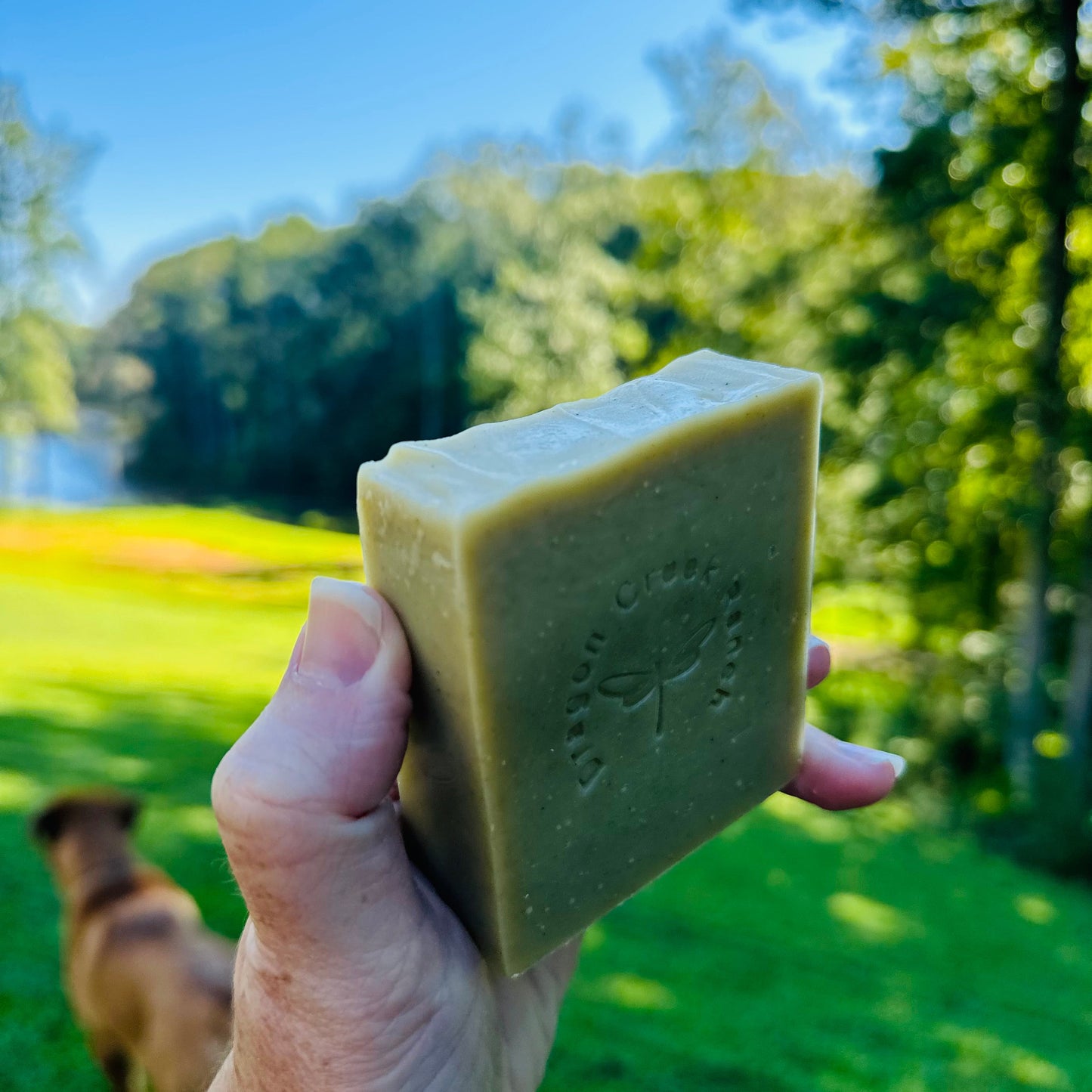 Hand holding a bar of soap outdoors with greenery and a dog in the background