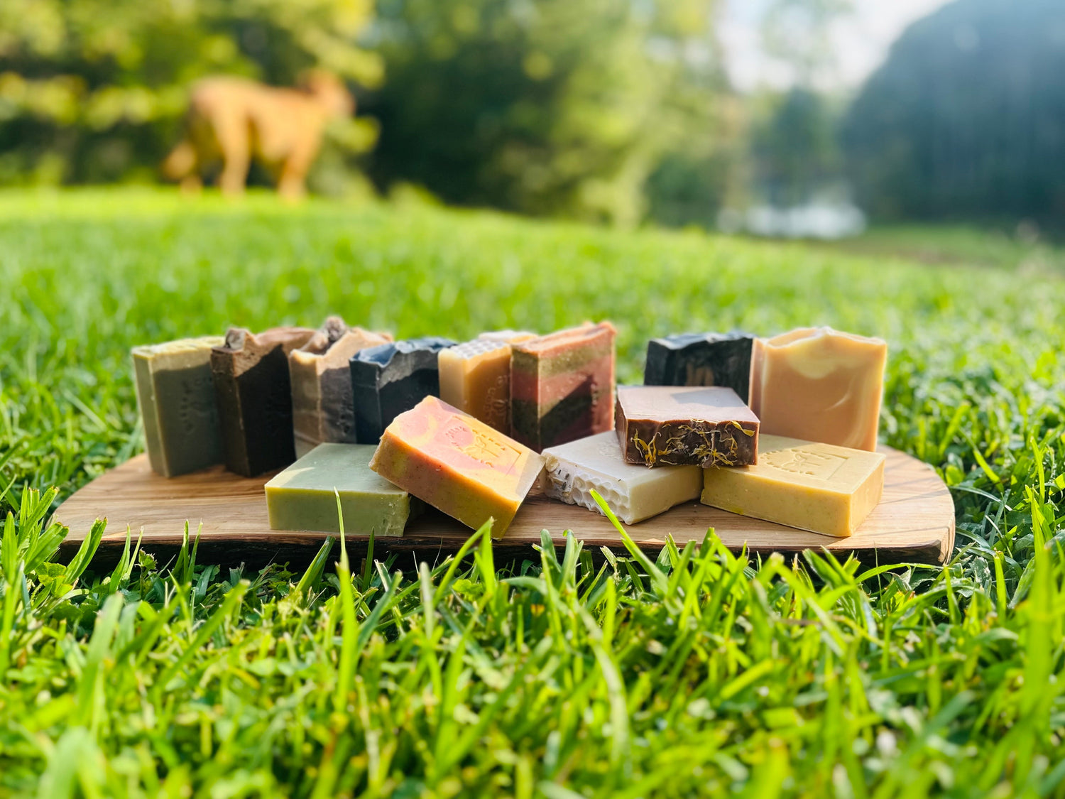 Clean Scent Tallow Soaps