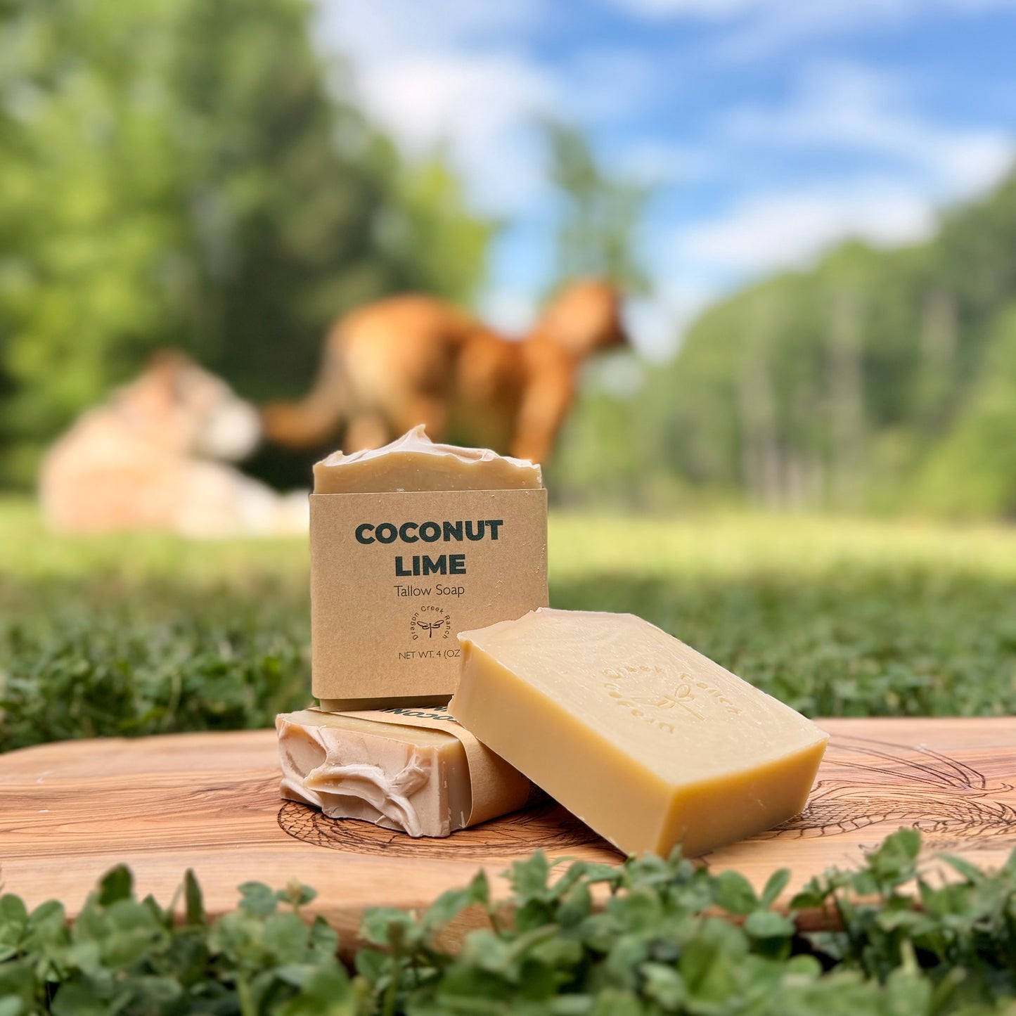 Coconut lime soap bars on a wooden board with a natural background