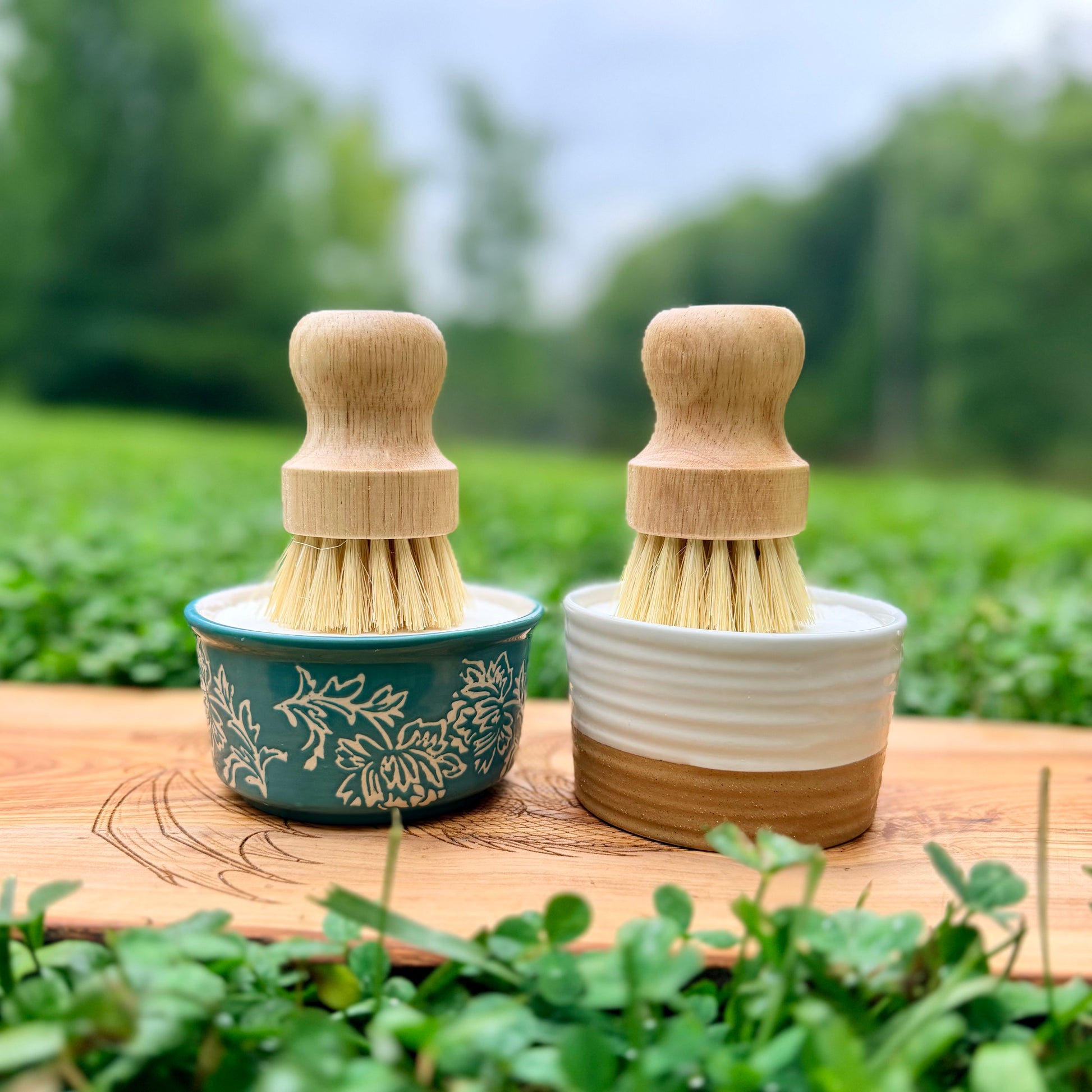 Two small hand brushes with light wood handles and natural bristles sit in small ceramic bowls on a wooden surface outdoors, with green plants and a blurred garden background.