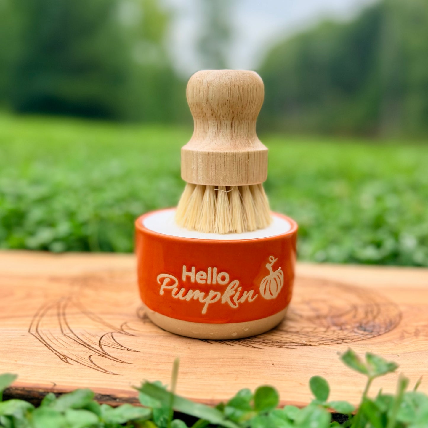 A small dish brush with a light wood handle and cream bristles, set in a circular terracotta base printed with 'Hello Pumpkin' in white script. The set is placed on a wooden surface outdoors with a blurred green garden background.