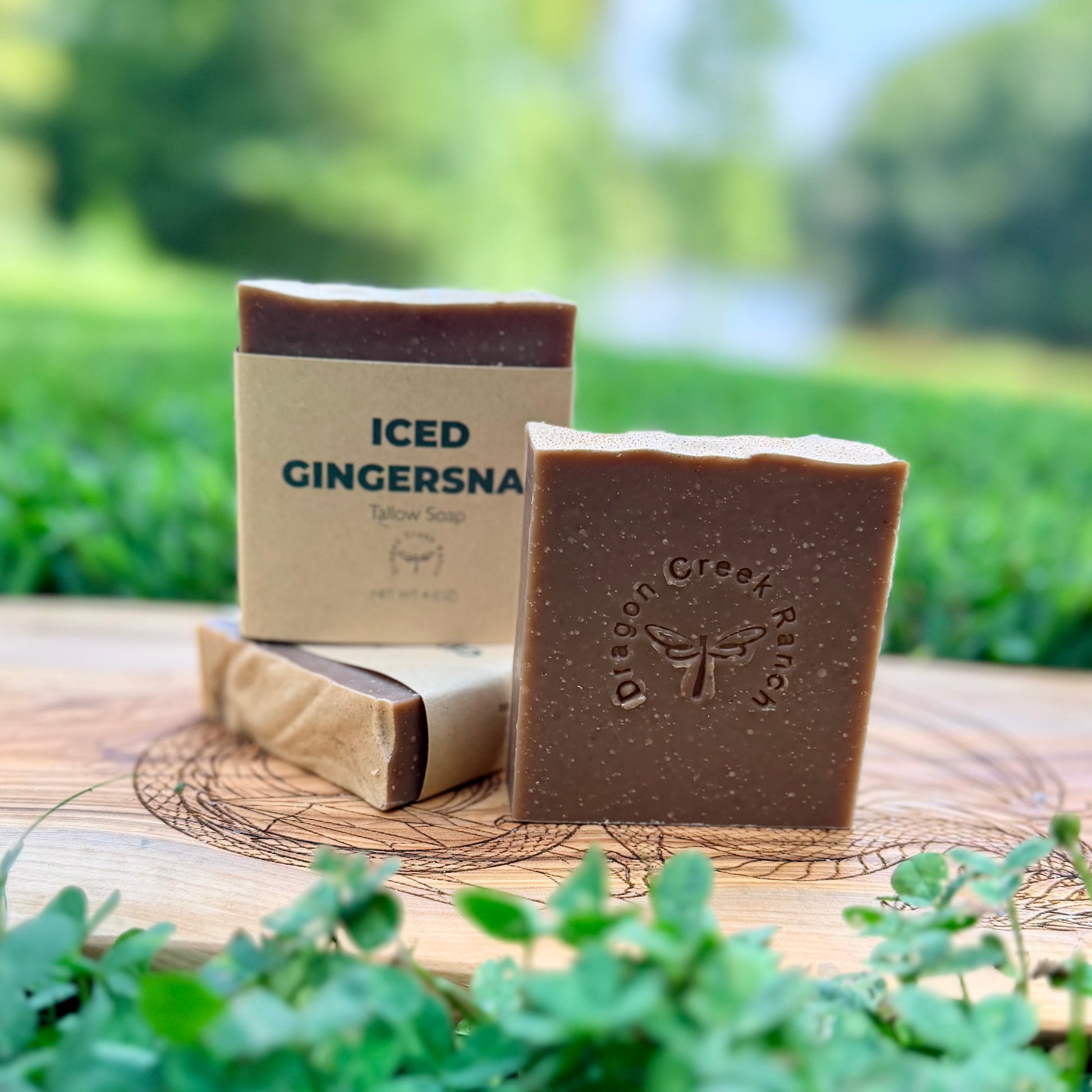 Three bars of Dragon Creek Ranch soaps, including one labeled 'ICED GINGERSNAP', displayed on a wooden board outdoors with green foliage in the foreground and background.