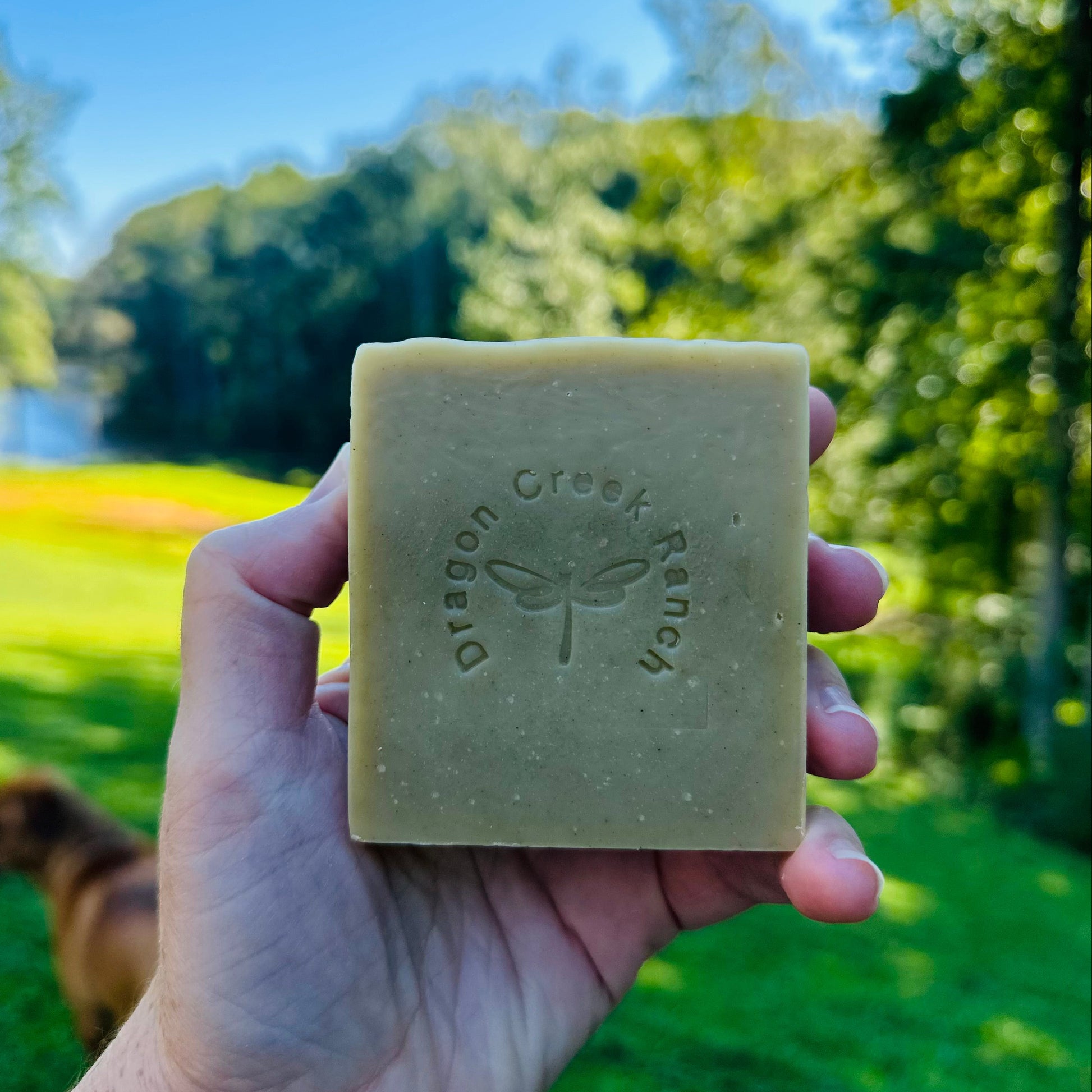 Hand holding a bar of green soap with 'Dragon Creek Ranch' branding against a natural background