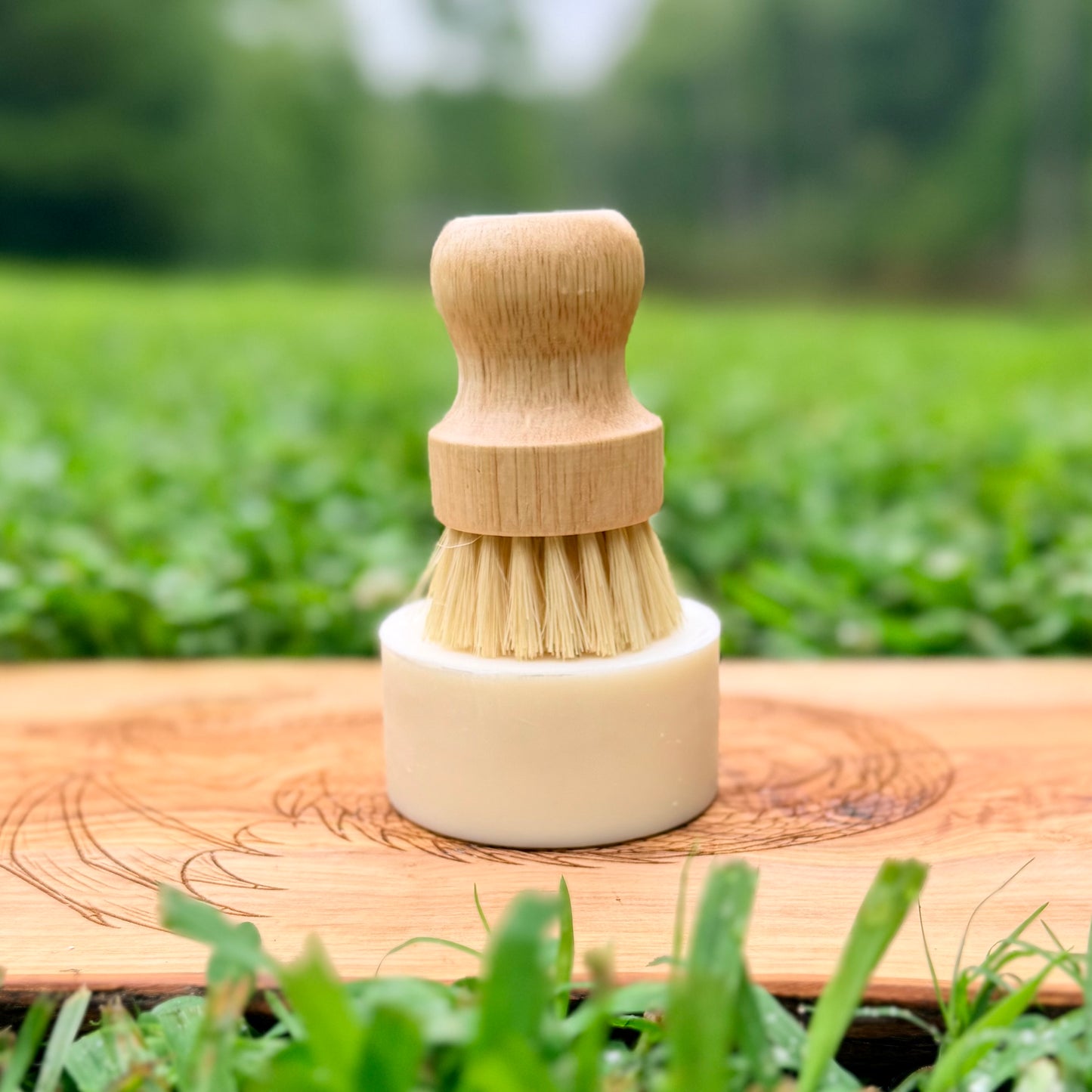 A small cleaning brush with a light wood handle, natural bristles, and a white circular base, standing on a wooden surface outdoors with blurred green grass in the background.